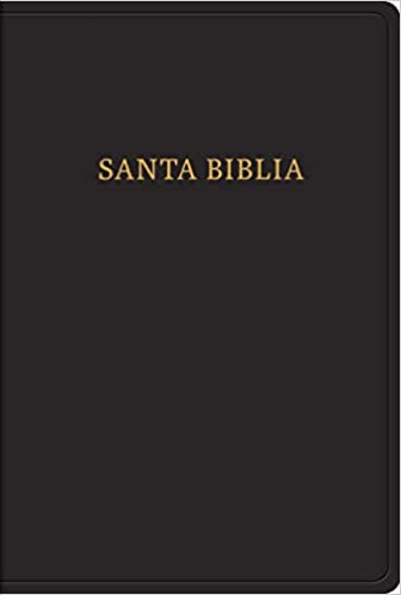 Biblia Reina Valera 1960 Letra Gigante Piel Fabricada Negro