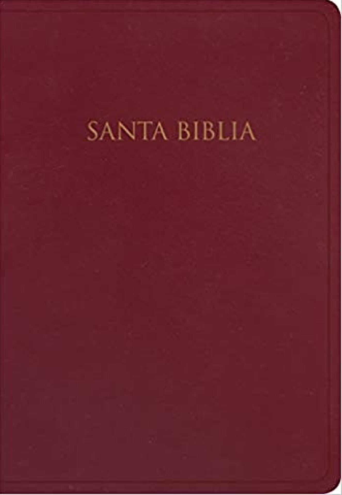Biblia Reina Valera 1960 Para Regalos Y Premios Imitación Piel, Borgoña