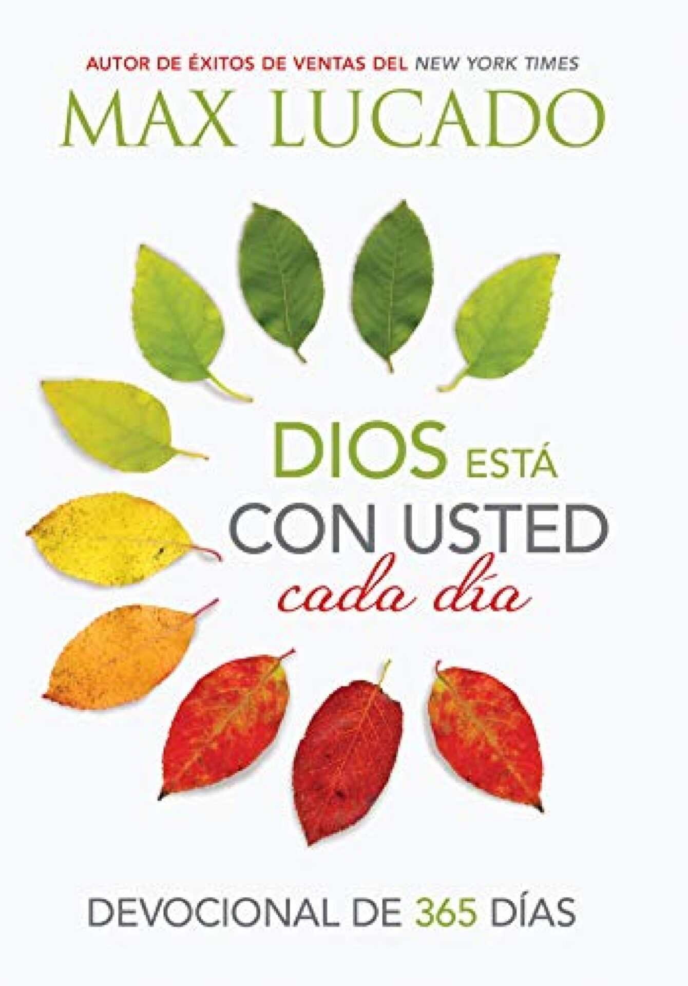 Dios Está Con Usted Cada Día: Devocional - Tapa Blanda - Max Lucado