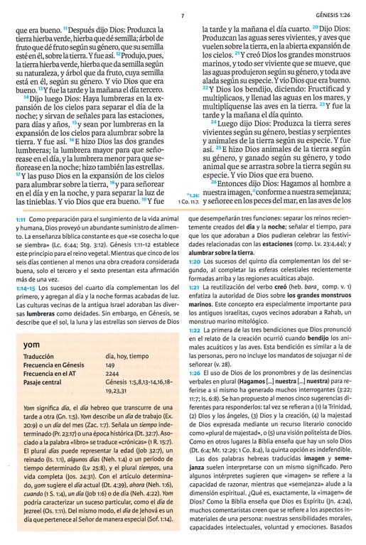 RVR 1960 Biblia de Estudio Holman Tapa Dura - Imagen 4