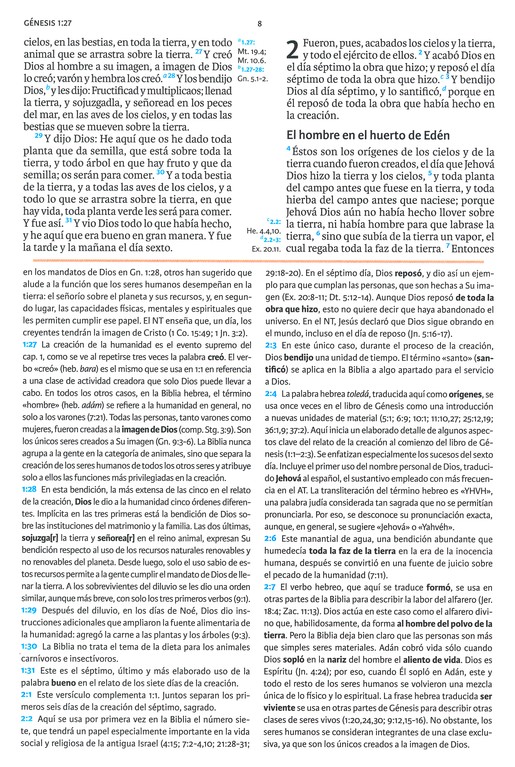 RVR 1960 Biblia de Estudio Holman Tapa Dura - Imagen 5