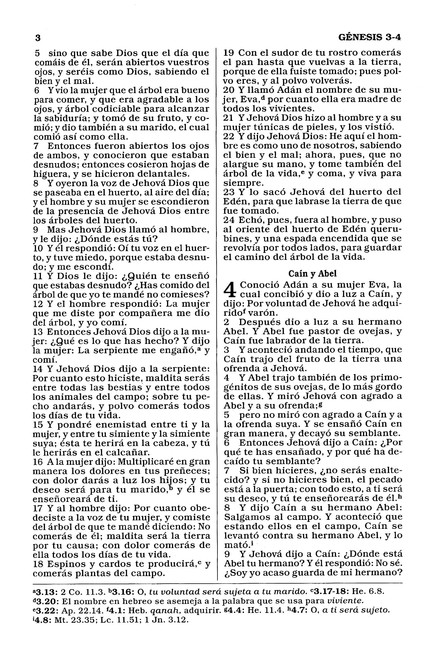 Biblia Reina Valera 1960 Tapa Dura Para Regalos y Premios, Negro - Imagen 5