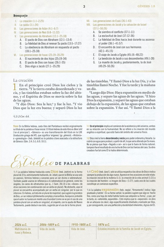 Biblia De Estudio Para Mujeres RVR 1960 Tapa Dura - Imagen 7