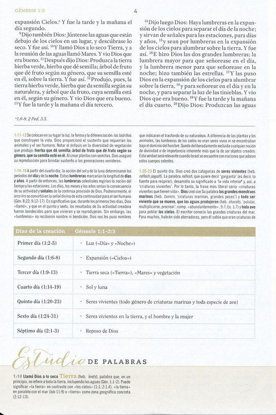 Biblia De Estudio Para Mujeres RVR 1960 Tapa Dura - Imagen 8