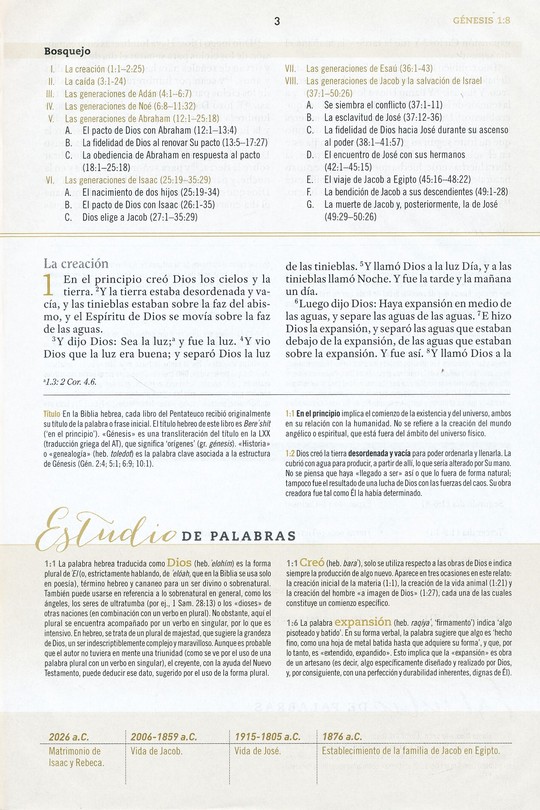 Biblia Reina Valera 1960 De Estudio Para Mujeres Vino Tinto Fucsia Símil Piel - Imagen 8