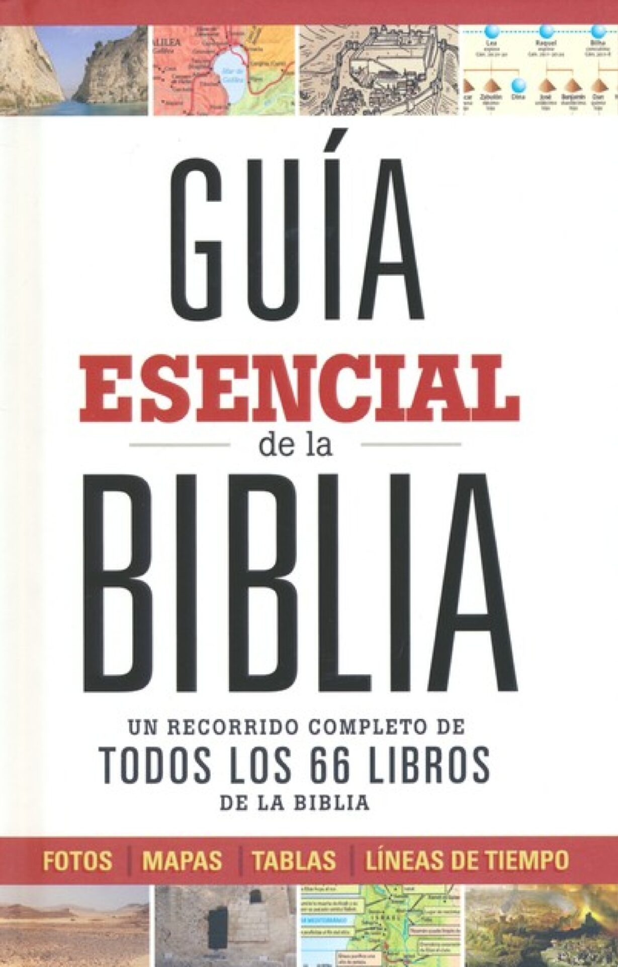 Guía Esencial De La Biblia Tapa Dura