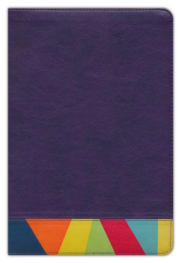 RVR 1960 Biblia de Estudio Arcoiris Morado Multicolor Simil Piel - Imagen 3