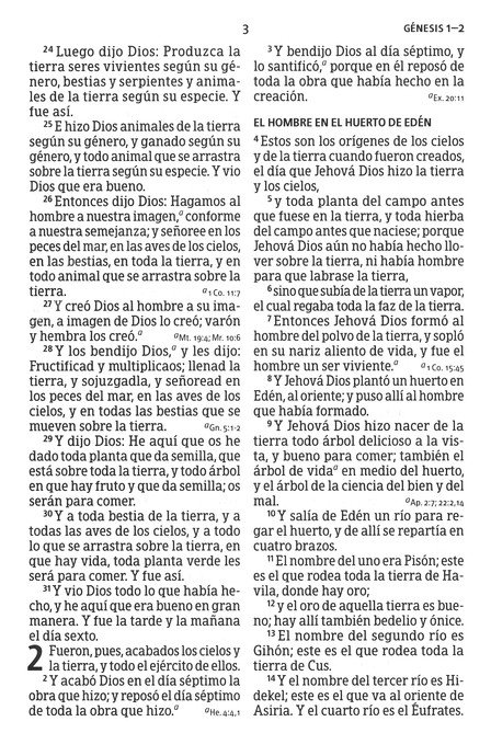RVR 1960 Biblia Letra Grande Tamaño Manual, Gris Y Marrón, Imitación Piel - Imagen 5
