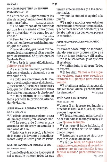 RVR 1960 Biblia Letra Grande Tamaño Manual, Gris Y Marrón, Imitación Piel - Imagen 8