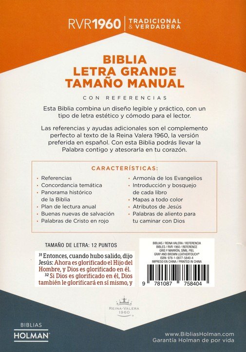 RVR 1960 Biblia Letra Grande Tamaño Manual, Gris Y Marrón, Imitación Piel - Imagen 10