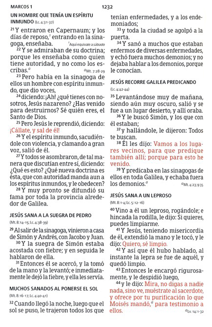 Biblia Reina Valera 1960 Tamaño Manual Letra Grande, Piel Fabricada, Negro - Imagen 8