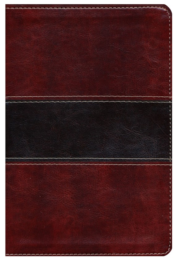Biblia del Pescador RVR 1960 Letra Grande Caoba Simil Piel - Imagen 9