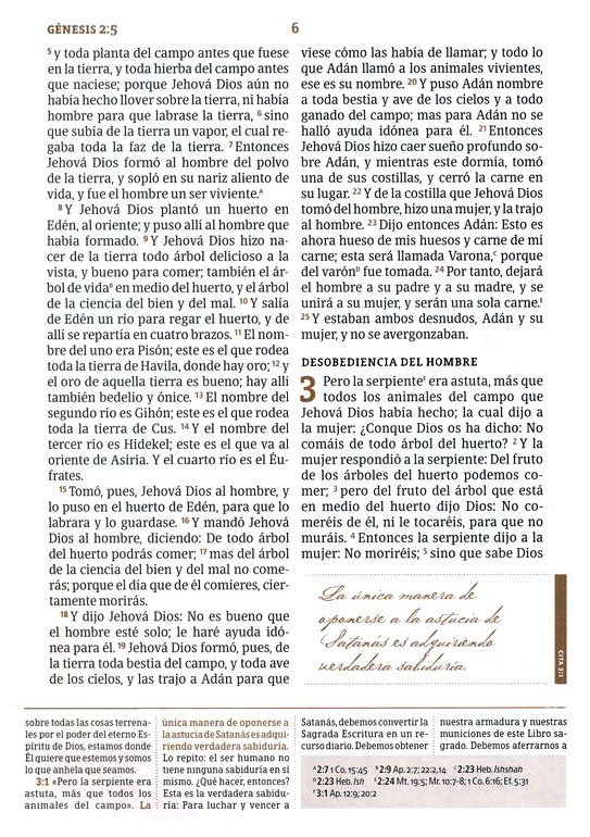RVR 1960 Biblia De Estudio Spurgeon Negro Marrón Símil Piel - Imagen 6