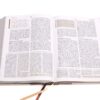 RVR 1960 Biblia de Estudio Spurgeon, Marrón Claro, Tela - Tapa Dura  Ilustrado - Imagen 4
