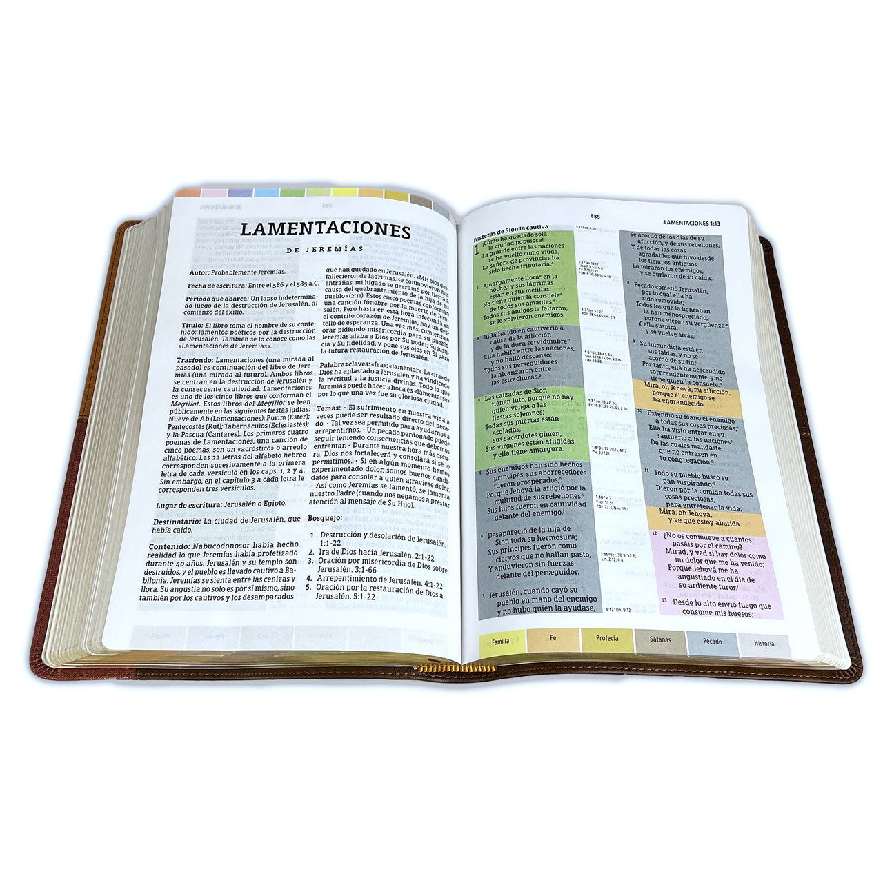 RVR 1960 Biblia de Estudio Arcoiris Cocoa Terracota Símil Piel - Imagen 4