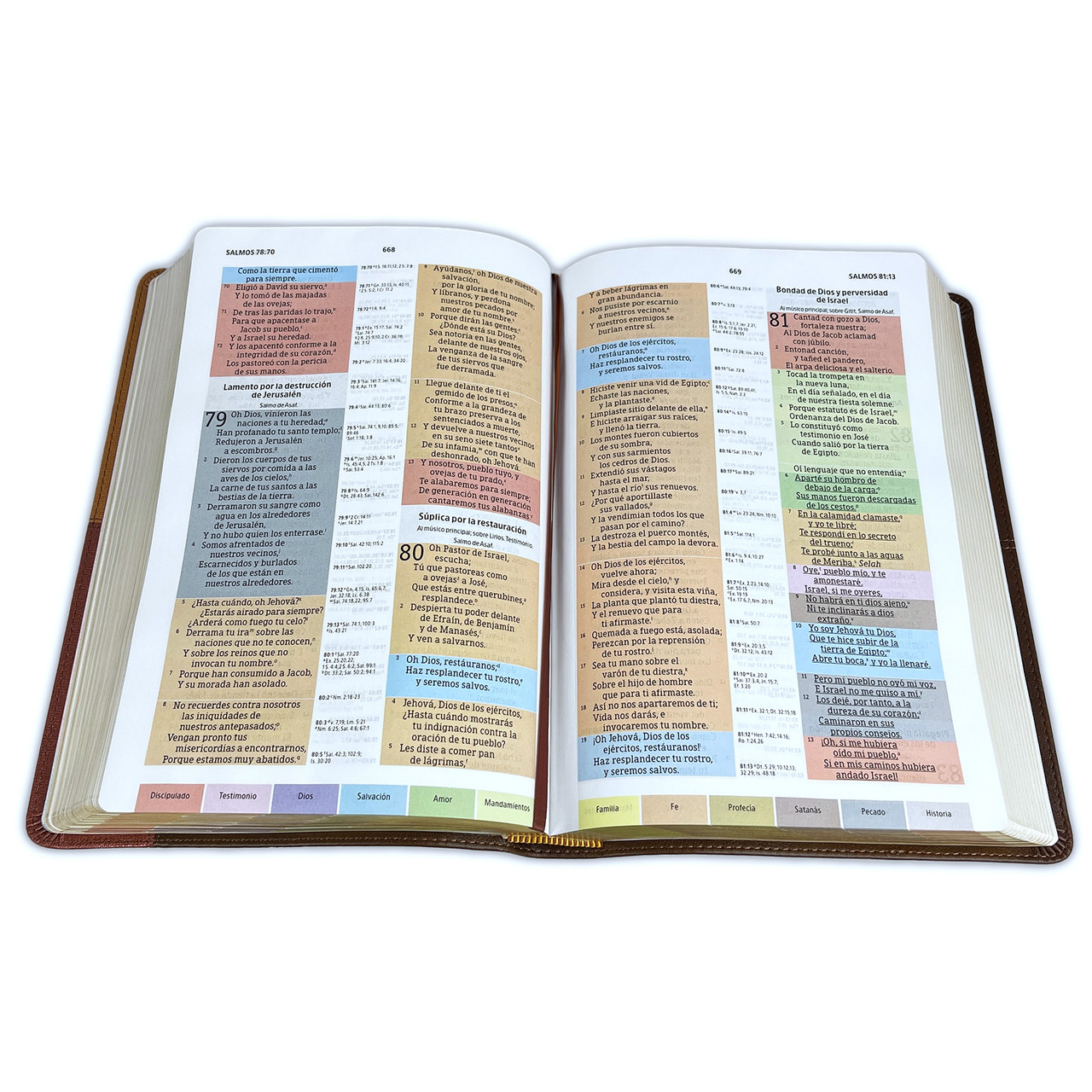 RVR 1960 Biblia de Estudio Arcoiris Cocoa Terracota Símil Piel - Imagen 6