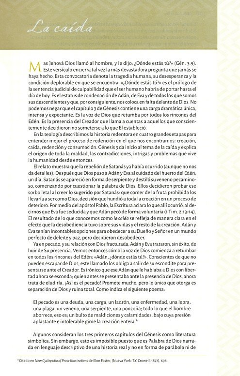 RVR 1960 Biblia Temática De Estudio, Marrón Oscuro/Marrón Piel Fabricada Con Indice - Imagen 6