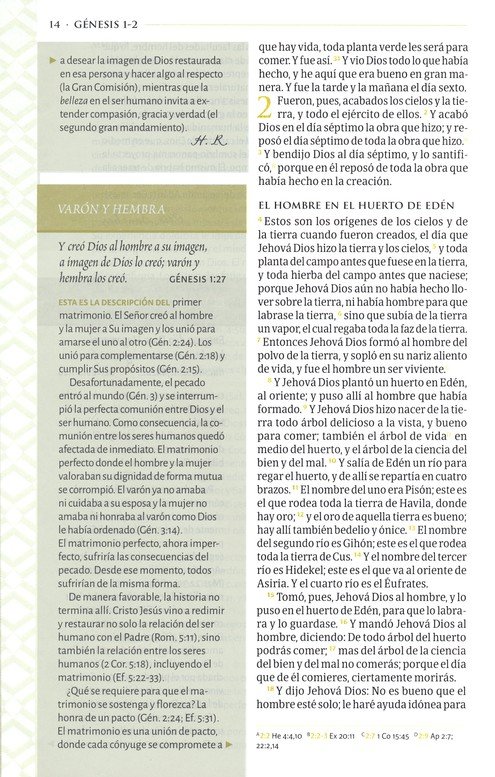RVR 1960 Biblia Temática De Estudio, Marrón Oscuro/Marrón Piel Fabricada Con Indice - Imagen 7