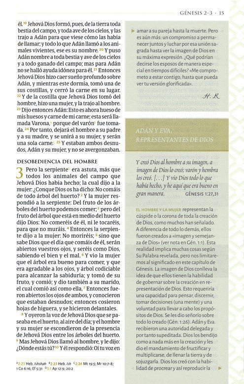 RVR 1960 Biblia Temática De Estudio, Marrón Oscuro/Marrón Piel Fabricada Con Indice - Imagen 8