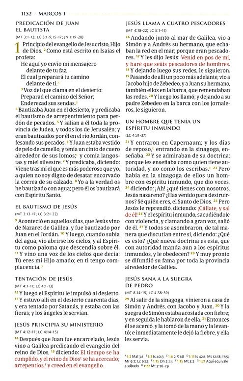 RVR 1960 Biblia Temática De Estudio, Marrón Oscuro/Marrón Piel Fabricada Con Indice - Imagen 9