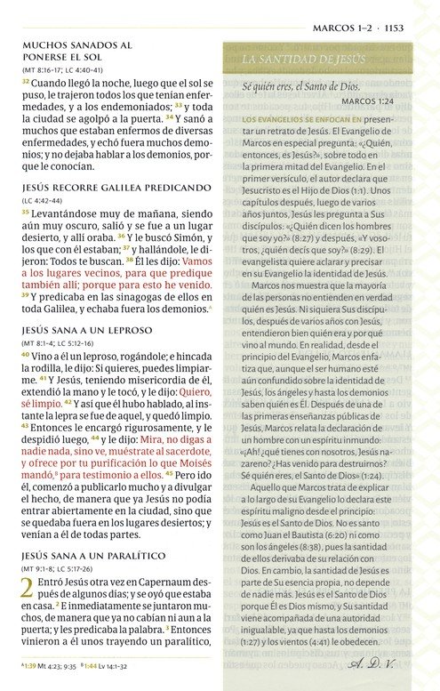 RVR 1960 Biblia Temática De Estudio, Marrón Oscuro/Marrón Piel Fabricada Con Indice - Imagen 10