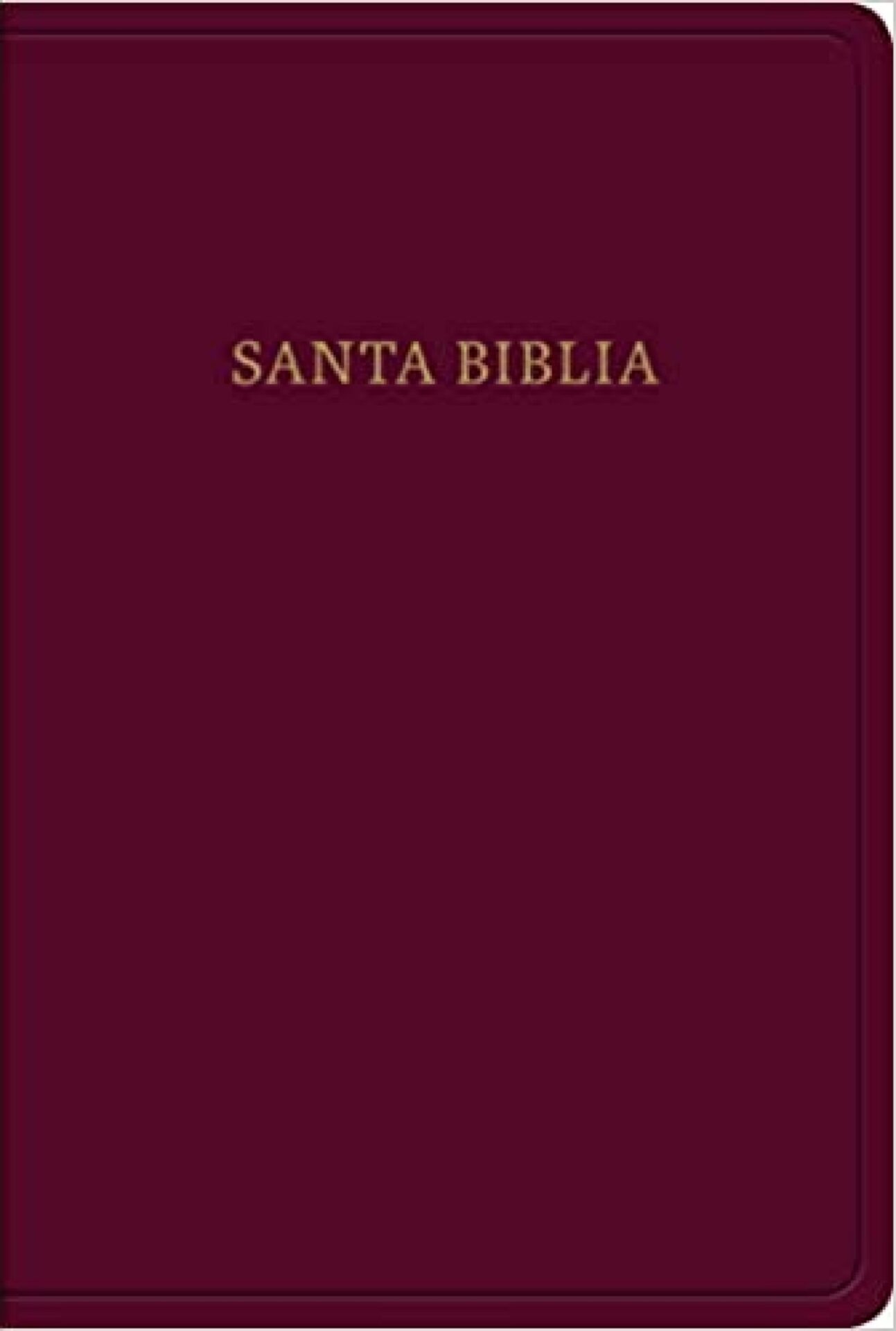 Biblia Reina Valera 1960 Tamaño Manual Letra Grande Piel Fabricada Borgoña