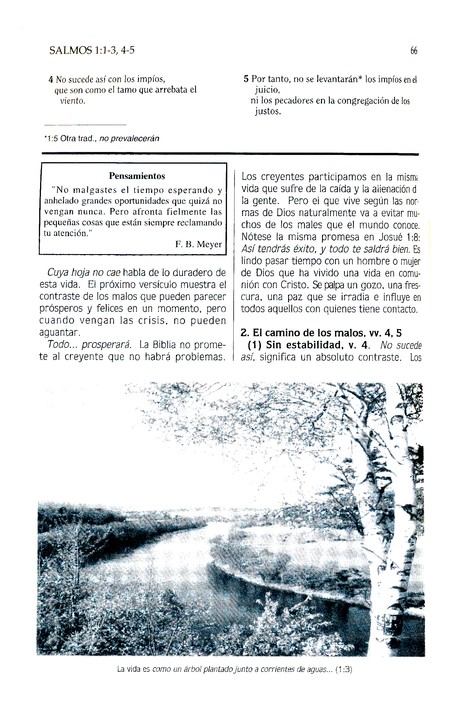 Comentario Bíblico Mundo Hispano Tomo 8 Salmos - Tapa Dura - Varios Autores - Imagen 6