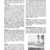 Diccionario Bíblico: Mundo Hispano - Tapa Dura - J. D. Douglas - Imagen 4