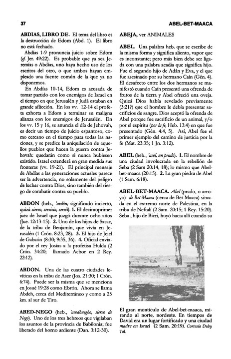 Diccionario Bíblico: Mundo Hispano - Tapa Dura - J. D. Douglas - Imagen 4