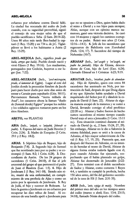 Diccionario Bíblico: Mundo Hispano - Tapa Dura - J. D. Douglas - Imagen 5