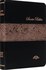 Biblia Reina Valera 1909 Tamaño Mediano Indice Negro