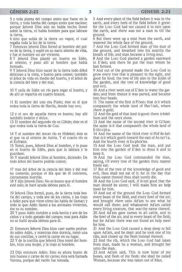 RVR 1960/KJV Biblia Bilingüe Letra Grande, Negro Tapa Dura - Imagen 7
