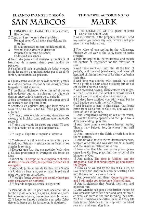 RVR 1960/KJV Biblia Bilingüe Letra Grande, Negro Tapa Dura - Imagen 8