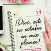 ¡Dios, Esto No Estaba En Mis Planes! -  Tapa Blanda - Alicia Zorzoli