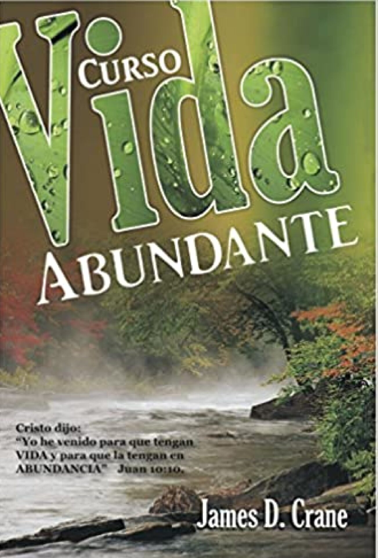 Vida Abundante - Tapa Blanda - James D. Crane