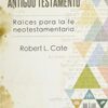 Teología del Antiguo Testamento - Tapa Blanda -  Robert L. Cate