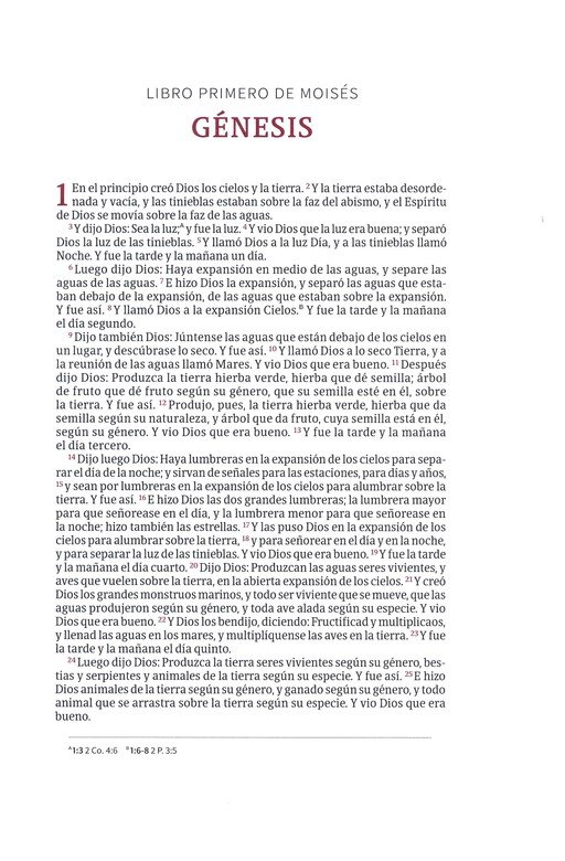 Biblia Devocional Para Mujeres Centrada En Cristo RV1960 Imitación Piel Floral - Imagen 4