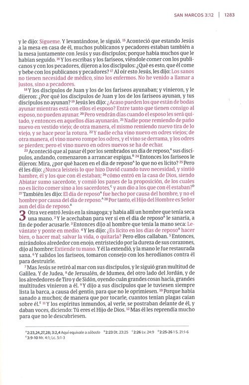 Biblia Devocional Para Mujeres Centrada En Cristo RV1960 Imitación Piel Floral - Imagen 9