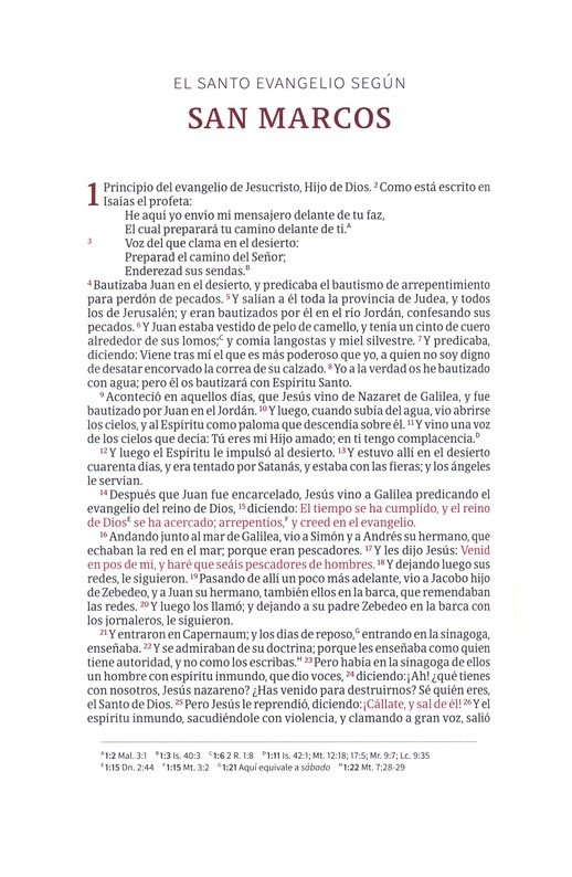 Biblia Devocional Para Mujeres Centrada En Cristo RV1960 Imitación Piel Floral Con Indice - Imagen 8