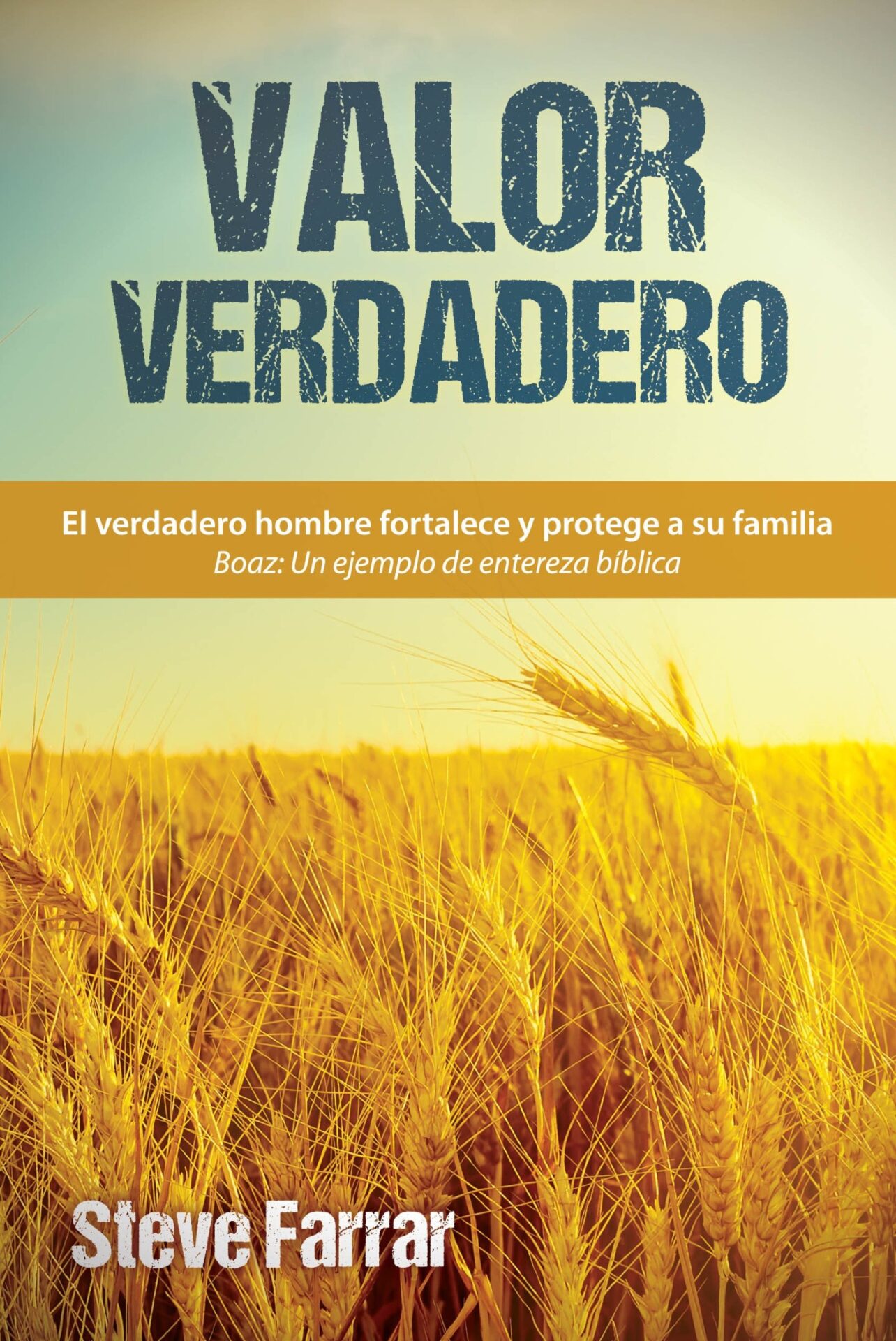Valor Verdadero - Tapa Blanda - Steve Farrar