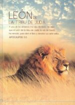 León De La Tribu De Judá: Cuaderno De Notas - Tapa Blanda - Varios Autores