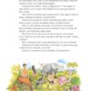 La Biblia En 365 Historias - Tapa Dura - Jeffs y Williams - Imagen 7