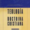 Cuadros Sinópticos de Teología y Doctrina Cristiana - Tapa Blanda - Wayne House