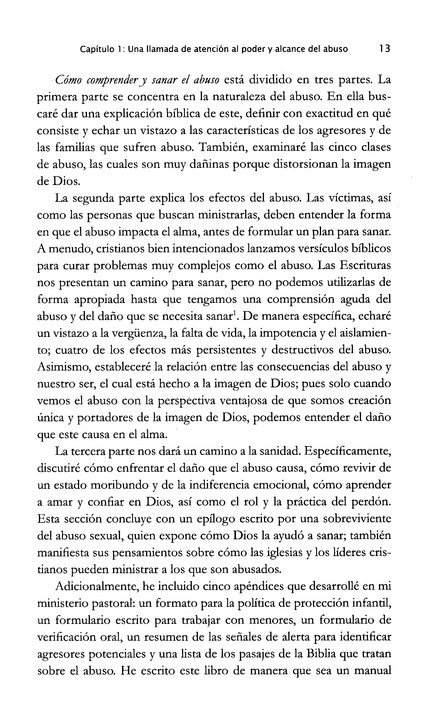 Cómo Comprender y Sanar el Abuso - Tapa Blanda - Steven R. Tracy - Imagen 6