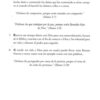 Celebremos la Recuperación Guía 2 - Tapa Blanda - John Baker y Rick Warren - Imagen 5