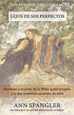 Lejos De Ser Perfectos  - Tapa Blanda - Ann Spangler