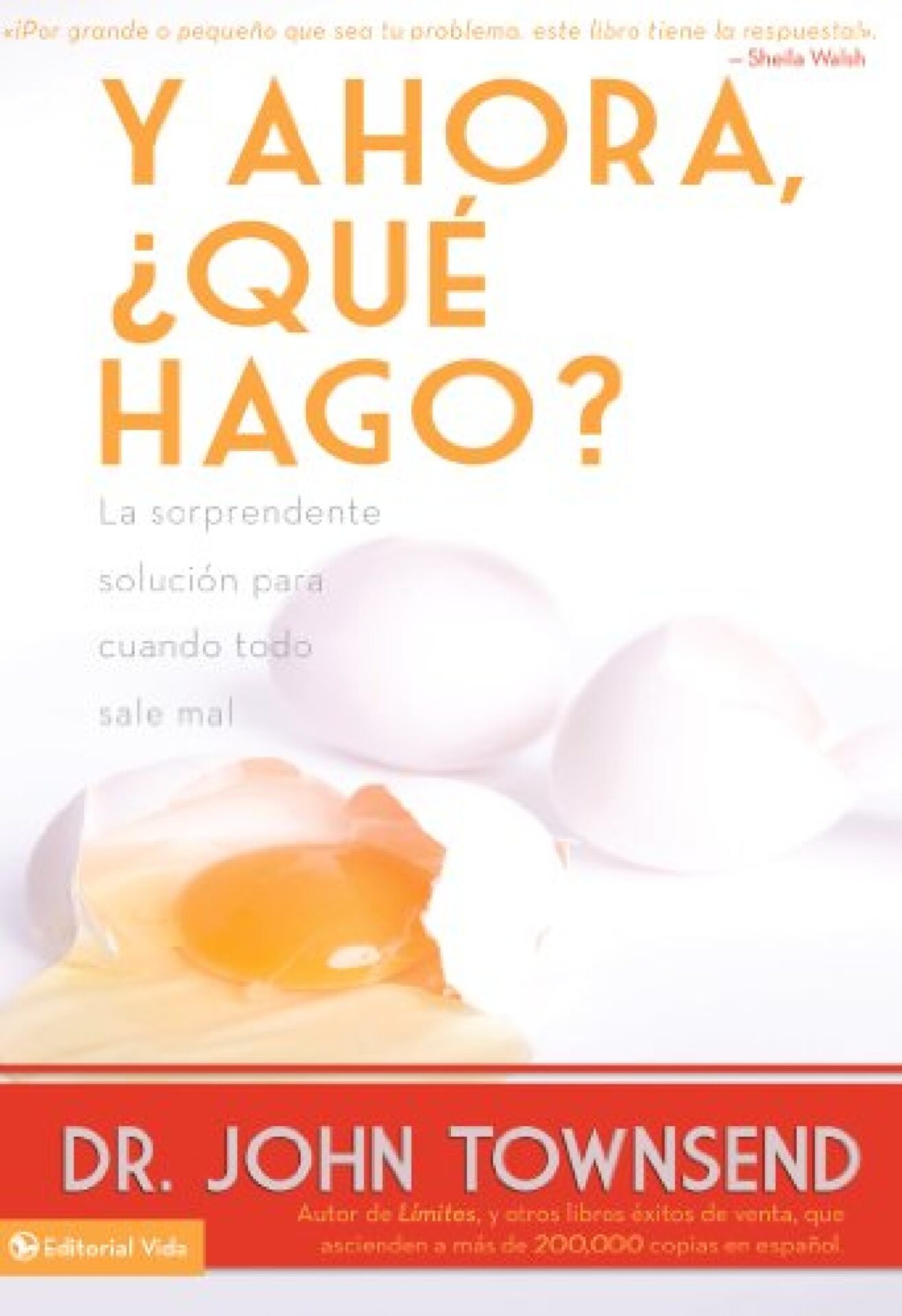 Y Ahora, ¿Qué Hago? - Tapa Blanda - John Townsend