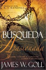 Búsqueda Apasionada - Tapa Blanda - David Cerullo
