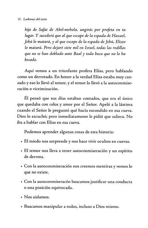 Ladrones Del Éxito - Tapa Blanda - Adolfo Aguero Esgaib - Imagen 10