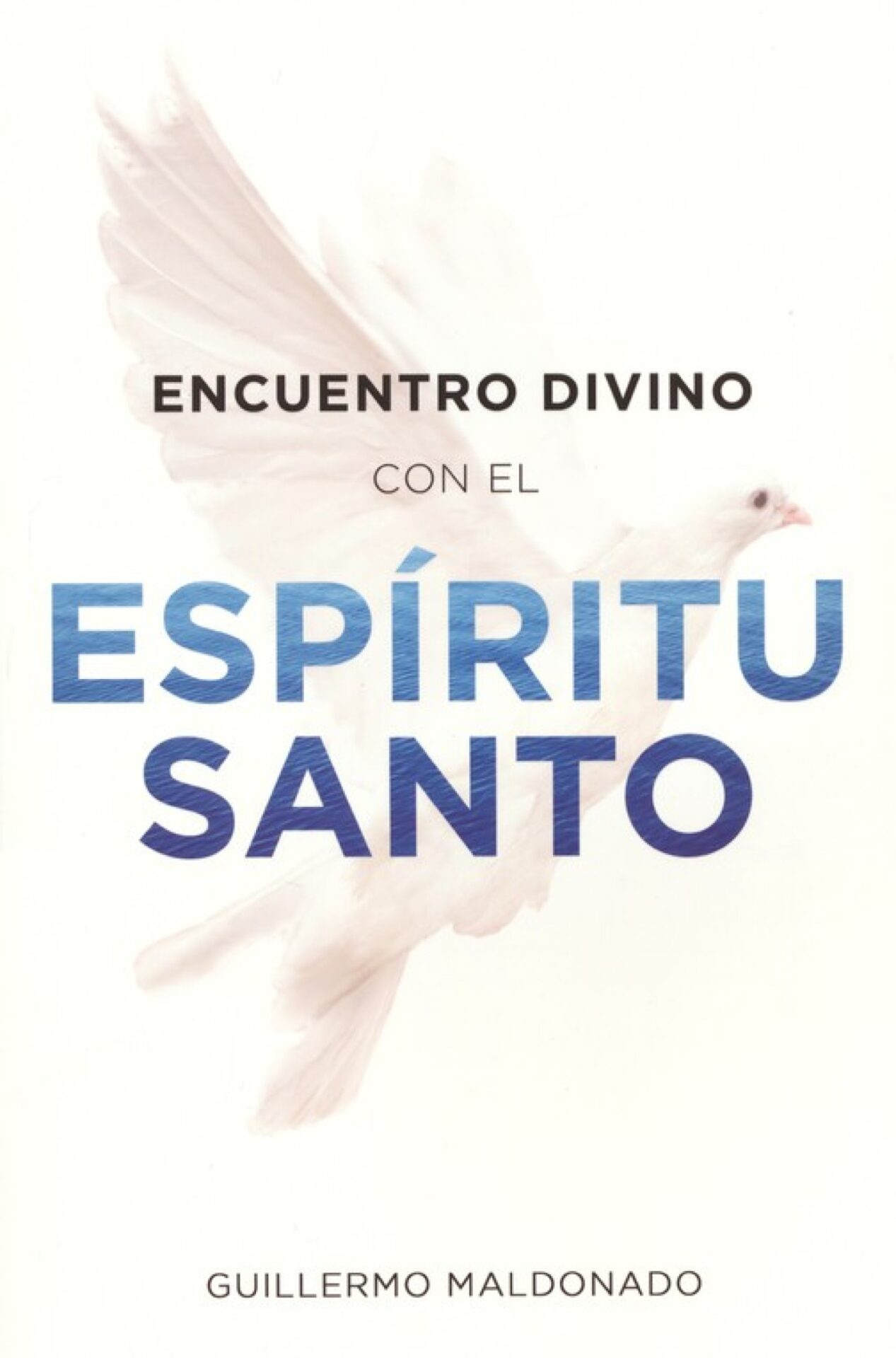 Encuentro Divino con el Espíritu Santo - Tapa Blanda - Guillermo Maldonado